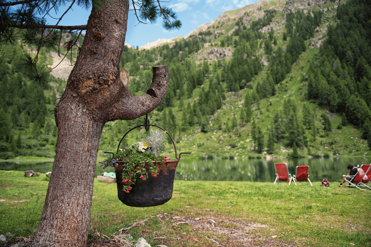 Primavera in Val Rendena